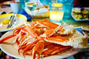 Best Mexican Food in Key West: Find Your Fiesta! World’s Most Delicious Foods: Must-Try Dishes from Every Country Best Mexican Food in Key West: Find Your Fiesta! | World’s Most Delicious Foods: Must-Try Dishes from Every Country
