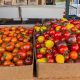 Your Sandpoint Food Bank: Meals &amp; Donations Guide | World’s Most Delicious Foods: Must-Try Dishes from Every Country